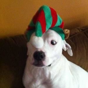 Meet your Posher, Jane